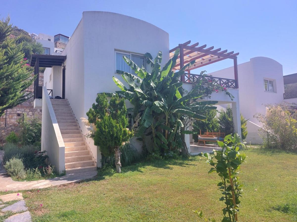 Ibak Apartments Gümüşlük Exteriör bild