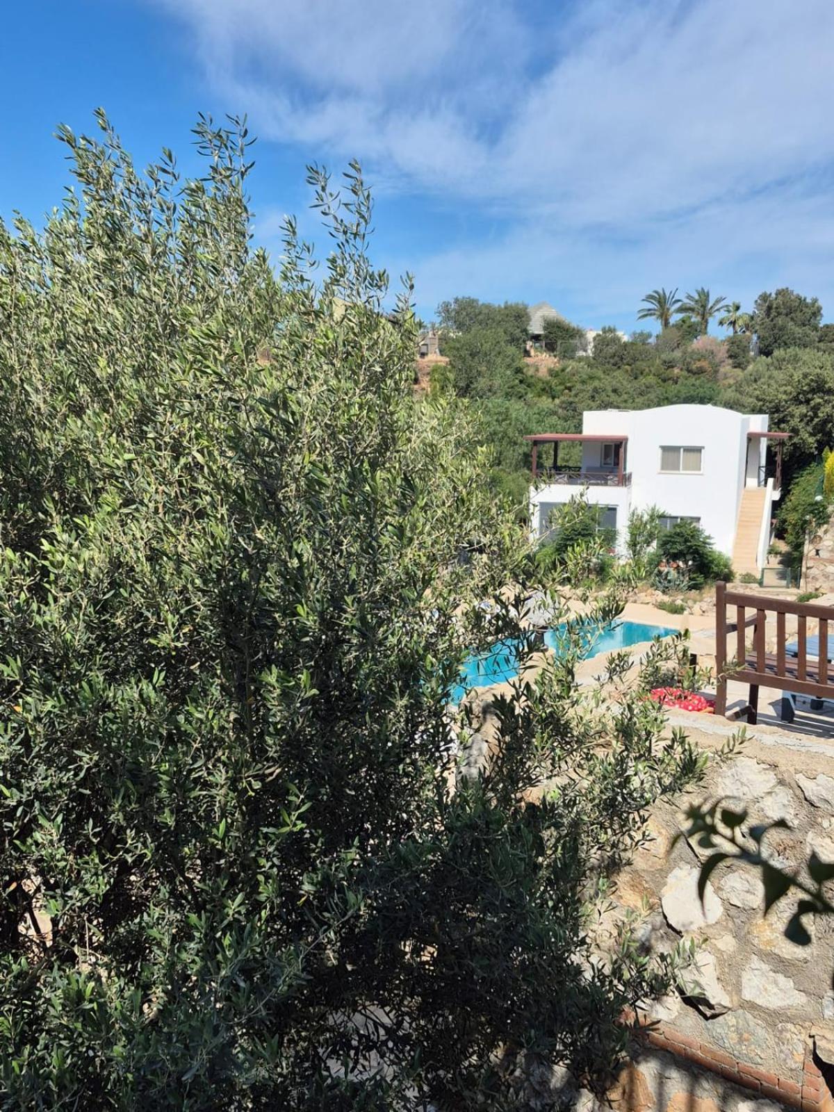 Ibak Apartments Gümüşlük Exteriör bild
